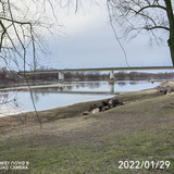 IMG 20220129 160745 edit 98915611549034