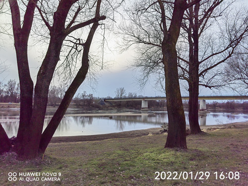 IMG 20220129 160839 edit 98808008386731.jpg