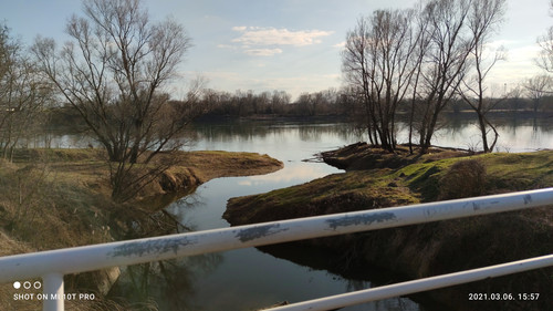 IMG 20210306 155717.jpg