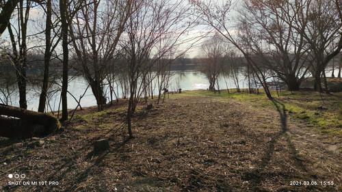 IMG 20210306 155549 1.jpg