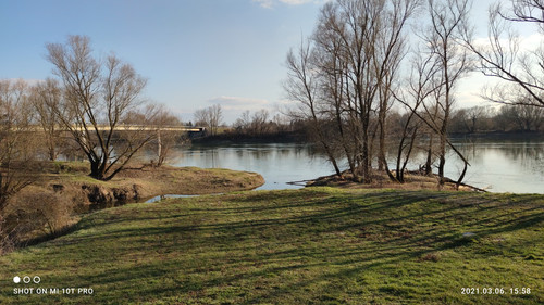 IMG 20210306 155817 1.jpg