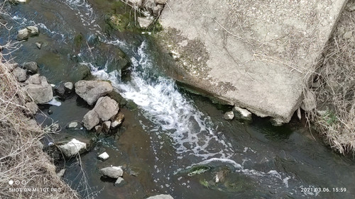 IMG 20210306 155918 1.jpg