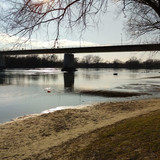 IMG 20210306 154650 1