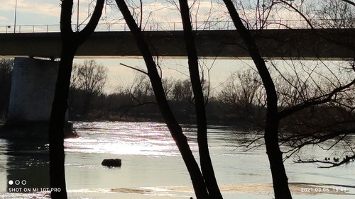 IMG 20210306 154830.jpg