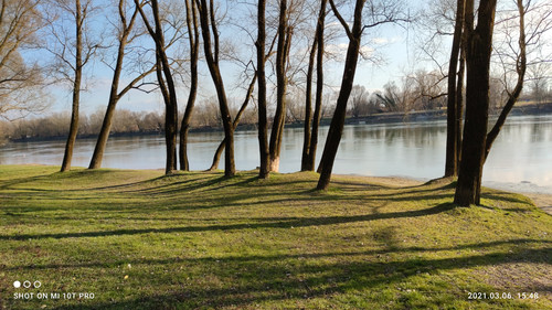 IMG 20210306 154824.jpg