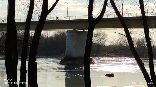 IMG 20210306 154833.jpg