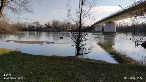 IMG 20210306 155037 1.jpg