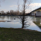 IMG 20210306 155037 1