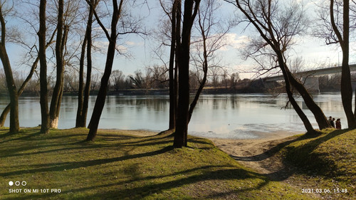 IMG 20210306 154821 1.jpg