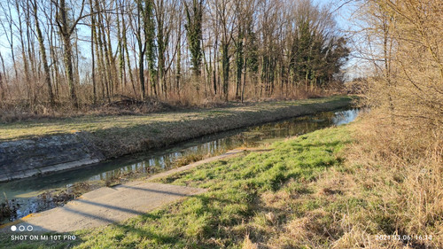 IMG 20210306 161437.jpg