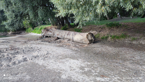 IMG 20210918 145856.jpg