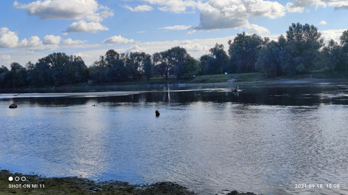 IMG 20210918 150052.jpg