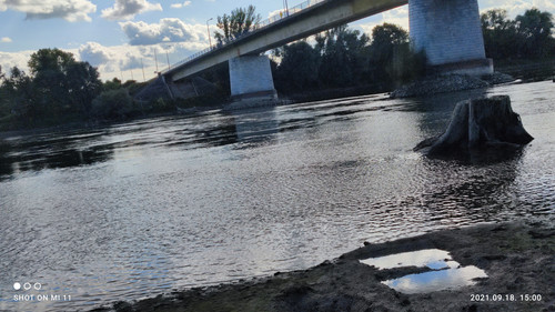 IMG 20210918 150013.jpg