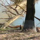 IMG 20210306 155437 1