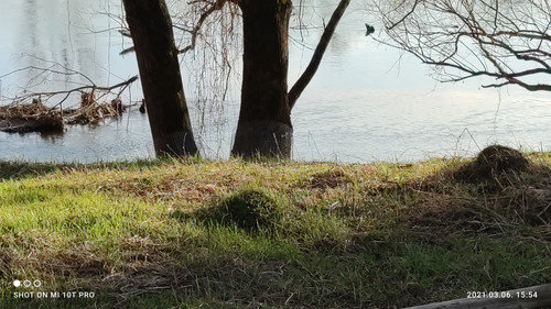 IMG 20210306 155402.jpg