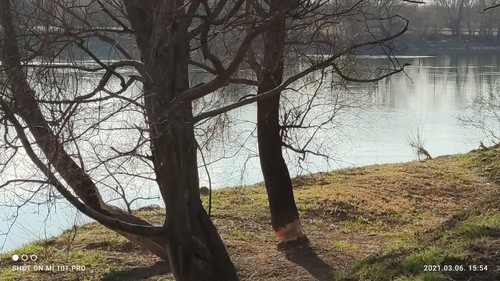 IMG 20210306 155457 1.jpg