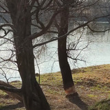 IMG 20210306 155457 1