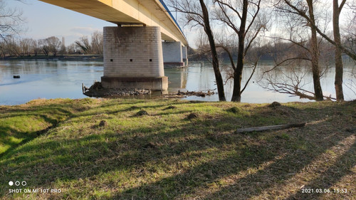 IMG 20210306 155356 1.jpg