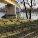 IMG 20210306 155356 1