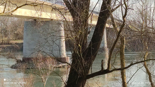 IMG 20210306 155441 1.jpg