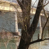 IMG 20210306 155441 1