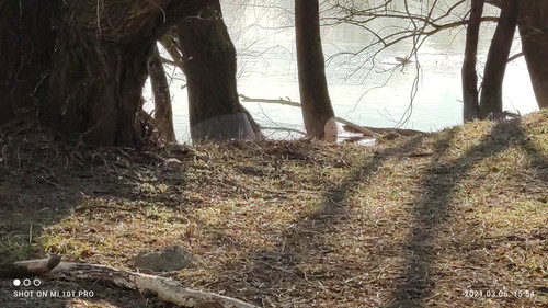 IMG 20210306 155406 1.jpg