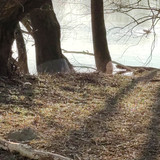 IMG 20210306 155406 1