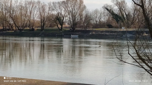 IMG 20210306 155145 1.jpg