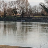 IMG 20210306 155145 1