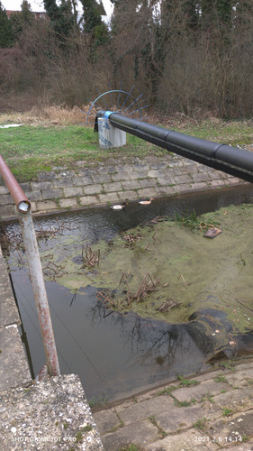 IMG 20210206 141429.jpg