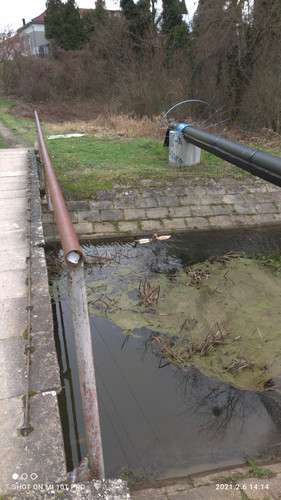 IMG 20210206 141420 1.jpg