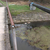 IMG 20210206 141420 1