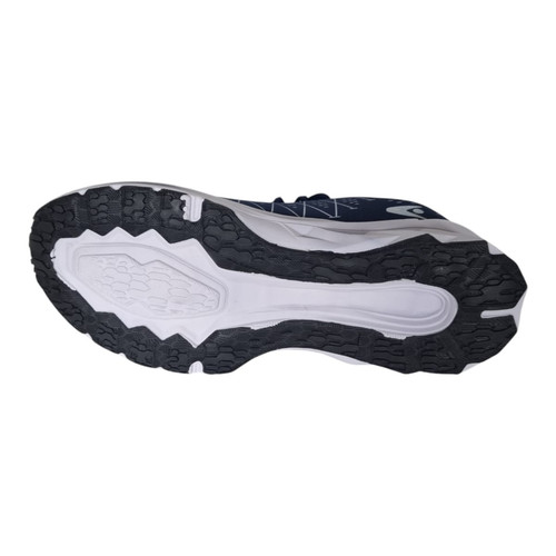 tenis reed azul branco listrado.jpg