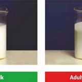 milk2442