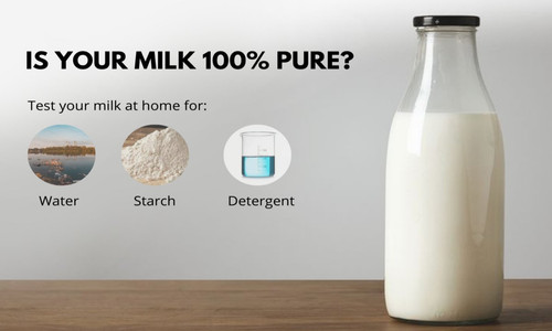 milk2439.jpg