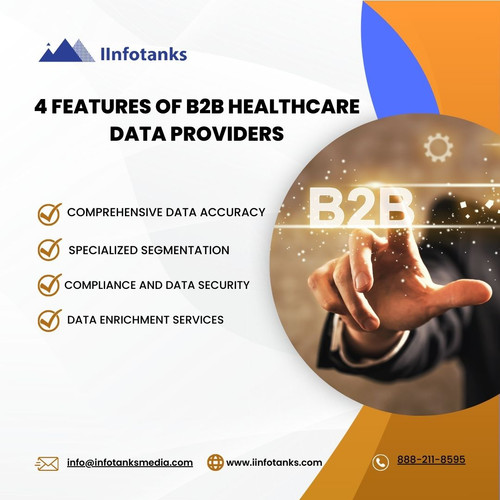 4 Features of B2B Healthcare Data Providers.jpg