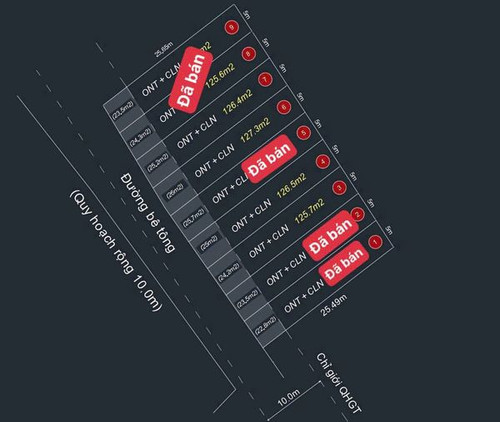 465013500 8580279188726139 1438089676732032270 n.jpg