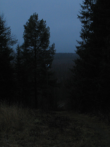 IMG 0009 1.jpg
