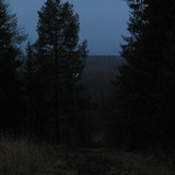 IMG 0009 1