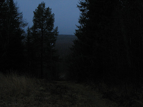 IMG 0010 1.jpg