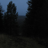 IMG 0010 1