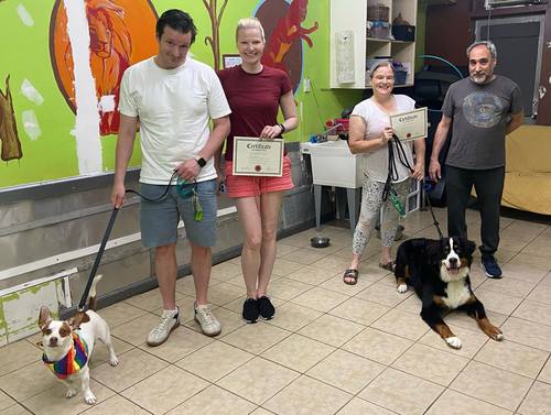 Dog Manners Training Near Me.jpg