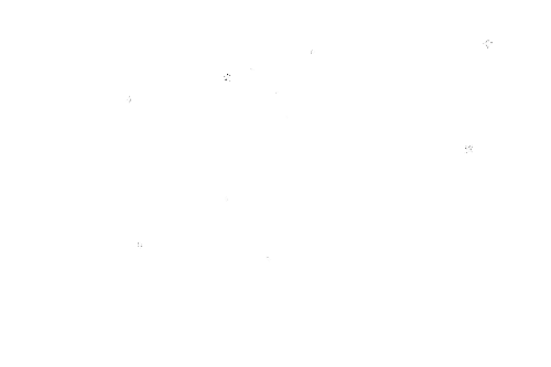 efectonuevo.gif