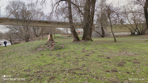 IMG 20210206 144231.jpg