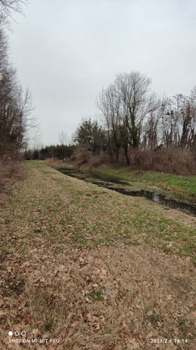 IMG 20210206 141444.jpg