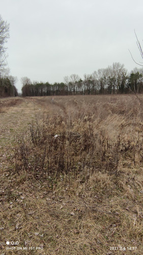 IMG 20210206 141714.jpg