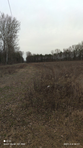 IMG 20210206 141709.jpg