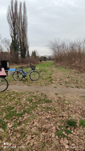 IMG 20210206 141448 1.jpg