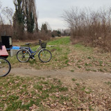 IMG 20210206 141448 1