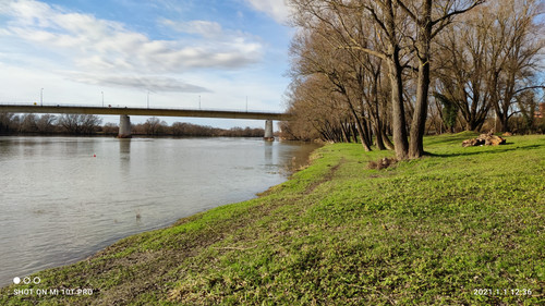 IMG 20210101 123613.jpg